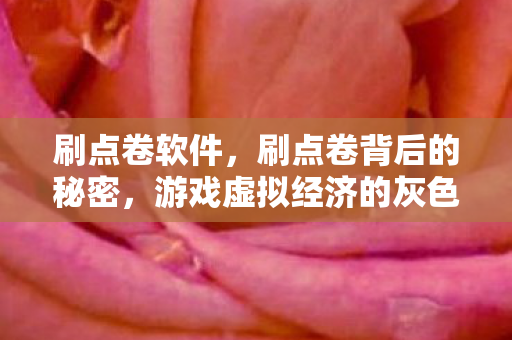 刷点卷软件，刷点卷背后的秘密，游戏虚拟经济的灰色地带