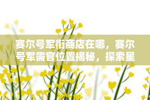 赛尔号军衔商店在哪，赛尔号军需官位置揭秘，探索星际之旅的补给站