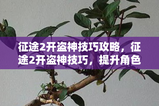 征途2开盗神技巧攻略，征途2开盗神技巧，提升角色战斗力的关键步骤