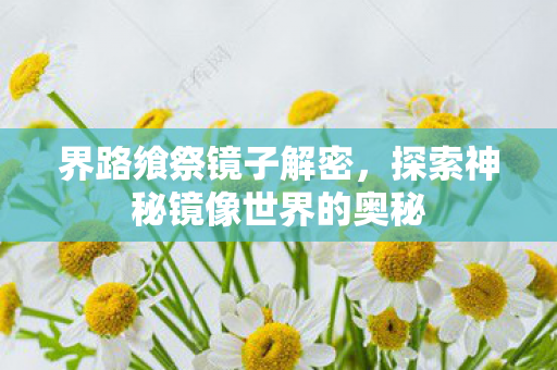 界路飨祭镜子解密，探索神秘镜像世界的奥秘