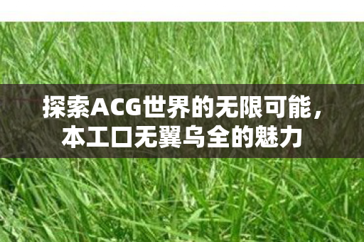 探索ACG世界的无限可能，本工口无翼乌全的魅力