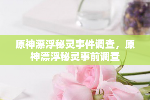 原神漂浮秘灵事件调查，原神漂浮秘灵事前调查