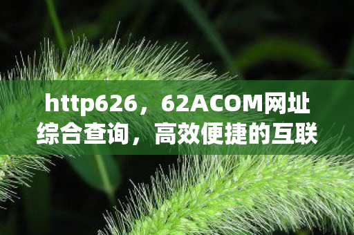 http626，62ACOM网址综合查询，高效便捷的互联网资源检索工具