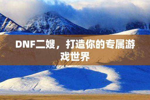 DNF二嫂，打造你的专属游戏世界