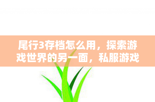 尾行3存档怎么用，探索游戏世界的另一面，私服游戏的魅力与争议