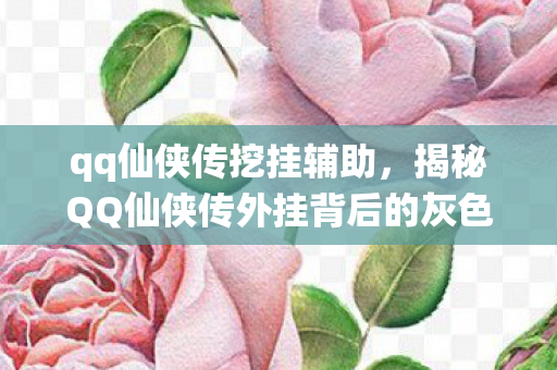 qq仙侠传挖挂辅助，揭秘QQ仙侠传外挂背后的灰色世界