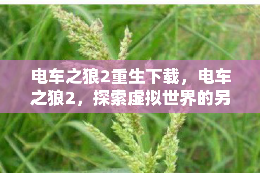 电车之狼2重生下载，电车之狼2，探索虚拟世界的另类冒险