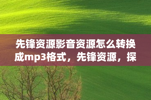 先锋资源影音资源怎么转换成mp3格式，先锋资源，探索游戏世界的无限可能