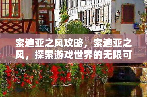 索迪亚之风攻略，索迪亚之风，探索游戏世界的无限可能