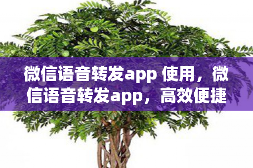 微信语音转发app 使用，微信语音转发app，高效便捷，重塑沟通新体验