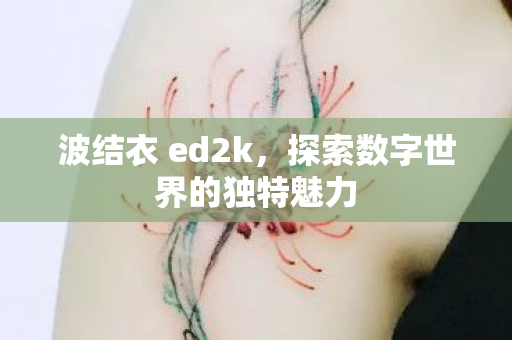 波结衣 ed2k，探索数字世界的独特魅力