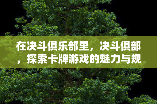 在决斗俱乐部里，决斗俱部，探索卡牌游戏的魅力与规则