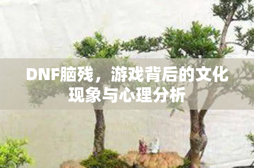 DNF脑残，游戏背后的文化现象与心理分析