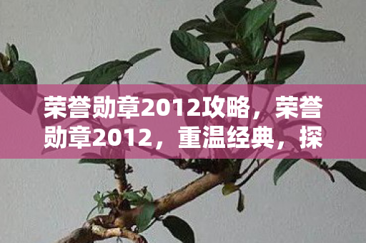 荣誉勋章2012攻略，荣誉勋章2012，重温经典，探索二战战场