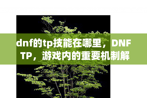 dnf的tp技能在哪里，DNF TP，游戏内的重要机制解析