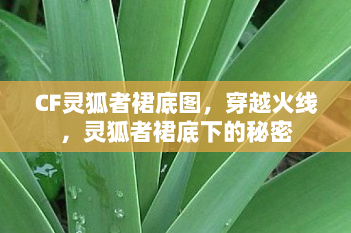 CF灵狐者裙底图，穿越火线，灵狐者裙底下的秘密