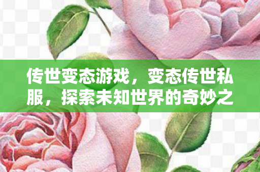 传世变态游戏，变态传世私服，探索未知世界的奇妙之旅
