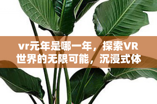 vr元年是哪一年，探索VR世界的无限可能，沉浸式体验的未来展望