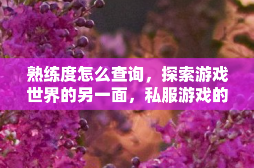 熟练度怎么查询，探索游戏世界的另一面，私服游戏的兴起与影响