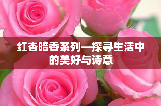红杏暗香系列—探寻生活中的美好与诗意