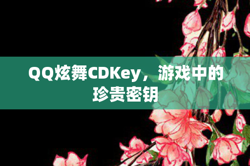 QQ炫舞CDKey，游戏中的珍贵密钥