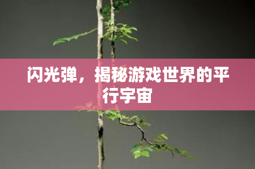 闪光弹，揭秘游戏世界的平行宇宙