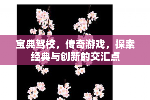 宝典驾校，传奇游戏，探索经典与创新的交汇点