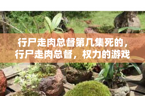 行尸走肉总督第几集死的，行尸走肉总督，权力的游戏与灰色阴影
