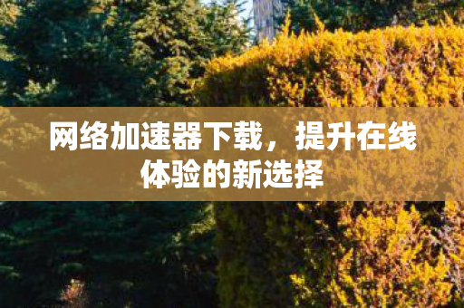 网络加速器下载，提升在线体验的新选择
