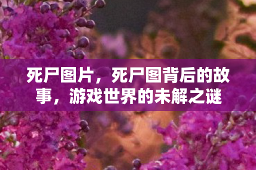 死尸图片，死尸图背后的故事，游戏世界的未解之谜