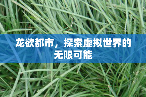 龙欲都市，探索虚拟世界的无限可能