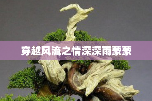 穿越风流之情深深雨蒙蒙