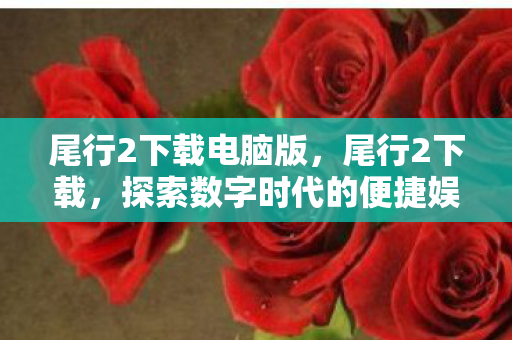 尾行2下载电脑版，尾行2下载，探索数字时代的便捷娱乐新体验