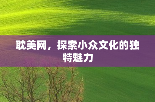 耽美网，探索小众文化的独特魅力