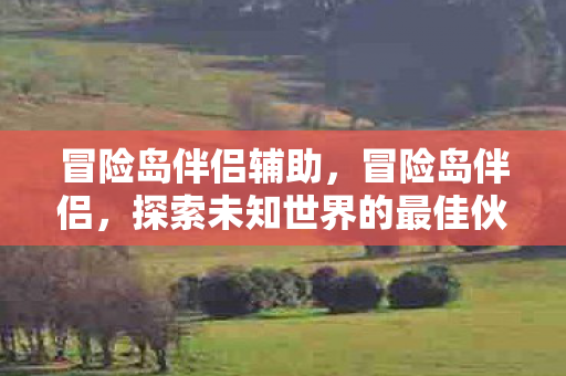 冒险岛伴侣辅助，冒险岛伴侣，探索未知世界的最佳伙伴