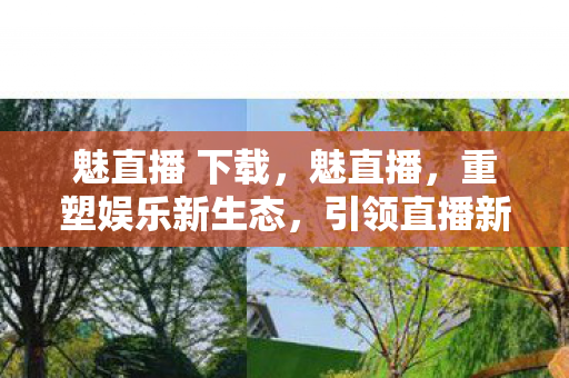 魅直播 下载，魅直播，重塑娱乐新生态，引领直播新风尚