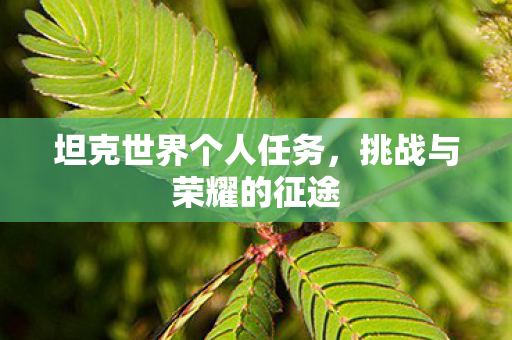坦克世界个人任务，挑战与荣耀的征途