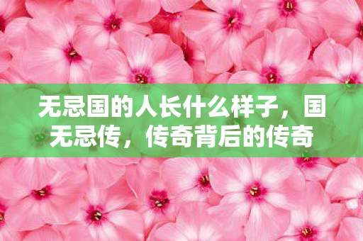 无忌国的人长什么样子，国无忌传，传奇背后的传奇