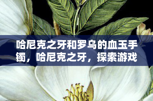 哈尼克之牙和罗乌的血玉手镯，哈尼克之牙，探索游戏世界的神秘宝藏
