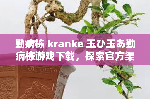 勤病栋 kranke 玉ひ玉あ勤病栋游戏下载，探索官方渠道的独特魅力