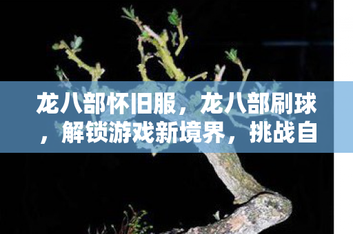 龙八部怀旧服，龙八部刷球，解锁游戏新境界，挑战自我极限
