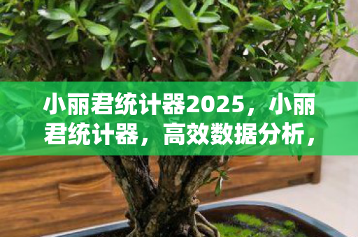 小丽君统计器2025，小丽君统计器，高效数据分析，助力企业决策