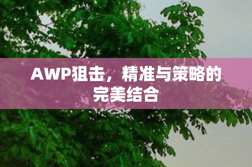 AWP狙击，精准与策略的完美结合