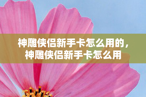 神雕侠侣新手卡怎么用的，神雕侠侣新手卡怎么用