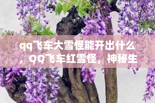 qq飞车大雪怪能开出什么，QQ飞车红雪怪，神秘生物背后的竞速激情