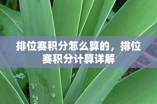 排位赛积分怎么算的，排位赛积分计算详解