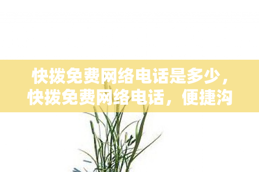 快拨免费网络电话是多少，快拨免费网络电话，便捷沟通的新选择