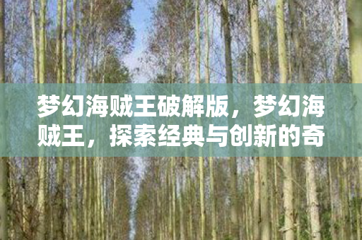 梦幻海贼王破解版，梦幻海贼王，探索经典与创新的奇妙之旅
