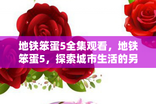 地铁笨蛋5全集观看，地铁笨蛋5，探索城市生活的另类视角