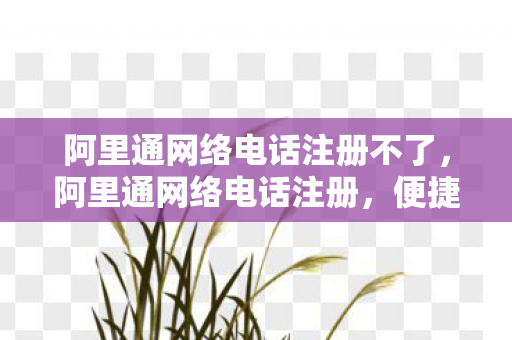 阿里通网络电话注册不了，阿里通网络电话注册，便捷通讯的新选择
